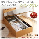 【日本製 収納ベッド】 日本製 跳ね上げベッド 収納ベッド Freeda フリーダ 薄型プレミアムポケットコイルマットレス付き ポケットコイル 【縦開き】 シングル シングルベッド 【深さ: グランド】 日本製ベッド シングルベッド シングル シングルサイズ 収納ベッド(3)