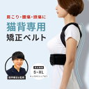 猫背矯正ベルト 姿勢サポーター 姿勢矯正ベルト ユニセックス [XS S M L XL] ブラック 母の日 プレゼント 母の日ギフト 祖母 プレゼント 母 プレゼント