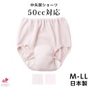 【M～LLサイズ】高齢者 パンツ レディース 中失禁ショーツ [M L LL] ベージュ ライトピング 失禁パンツ 失禁ショーツ 吸水ショーツ 女性用 婦人用 レディース 中度失禁 尿漏れ 尿漏れ対策 失禁 尿失禁 尿漏れパンツ 防水パンツ