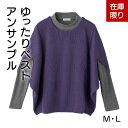 【20%OFF】【在庫処分セール】ゆったりベストアンサンブル M〜Lサイズ シニア レディース トップス