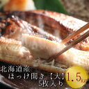 北海道産 根ほっけ開き【大】 5枚 1.5~1.75kg(1枚300〜350g) 真空パック入干物
