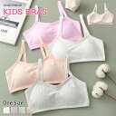 4枚入り ステップフィット ハーフトップ ジュニア用 パット付 スポーツブラ 中学生 ブラジャー ジュニア M〜3XL スクールインナー スポブラ 下着 アツギ...