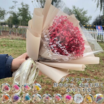 かすみ草 花束 ドライフラワー 花束 母の日 花 ドライフラワー プレゼント 早割 花 花束 かすみ草 ドライフラワー ブーケ 花材 バラ 詰め合わせ スイーツ プリザーブドフラワー 誕生日 水やり不要 送料無料 花束 送別 定年 退職 結婚祝い 結婚 誕生日 父の日 卒業 祝い