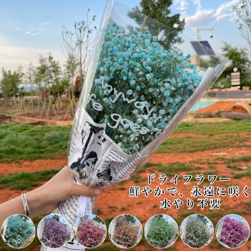 かすみ草 花束 ドライフラワー 花束 母の日 花 ドライフラワー プレゼント 早割 花 花束 かすみ草 ドライフラワー ブーケ 花材 バラ 詰め合わせ スイーツ プリザーブドフラワー 誕生日 水やり不要 送料無料 花束 送別 定年 退職 結婚祝い 結婚 誕生日 父の日 卒業 祝い