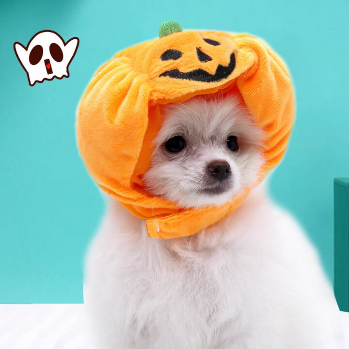 送料無料 ペット帽子 かぼちゃ ハロウィン H...の紹介画像3
