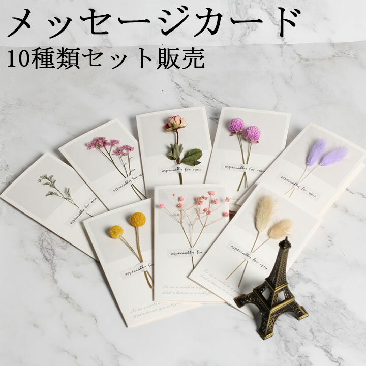 送料無料 メッセージ カード ドライフラワー 花 10種セット フラワー ギフト カラフル お祝い カード シック おしゃれ キラキラ ゴージャス 誕生日 ドラ...