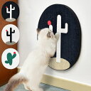 猫用 壁掛け 使える2WAY 可愛い 猫 猫用 サボテン 爪とぎ 爪研ぎ ダンボール 段ボール 猫爪とぎ 爪磨き 壁に貼れる 爪とぎボード 壁 掛け式