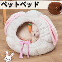 ペットベッド ハウス ドーム 猫用 秋 冬 ペット 兎 熊 洗える 可愛い ドームハウス ベッド 猫 秋用 冬用 ドーム型 小型犬 滑り止め ハウス ペットテント ペット用寝袋 保温防寒 快適 半密閉式 フワフワ もこもこ シンプル 暖かい 防寒