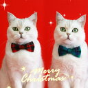 首輪 ペット用 猫 小型犬 クリスマス レッド グリーン チェック柄 中型犬 超小型犬 犬首輪 猫の首輪 ねこ ネコ くびわ 猫用首輪 犬の首輪 ペット用首輪 ...