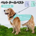 ポイント10倍/犬用クールベスト ペット 犬服 春夏 犬用冷感ベスト クールベスト 犬の服 夏用 ひんやりベスト 冷感 冷却ベスト ひんやりベスト メッシュ生地...