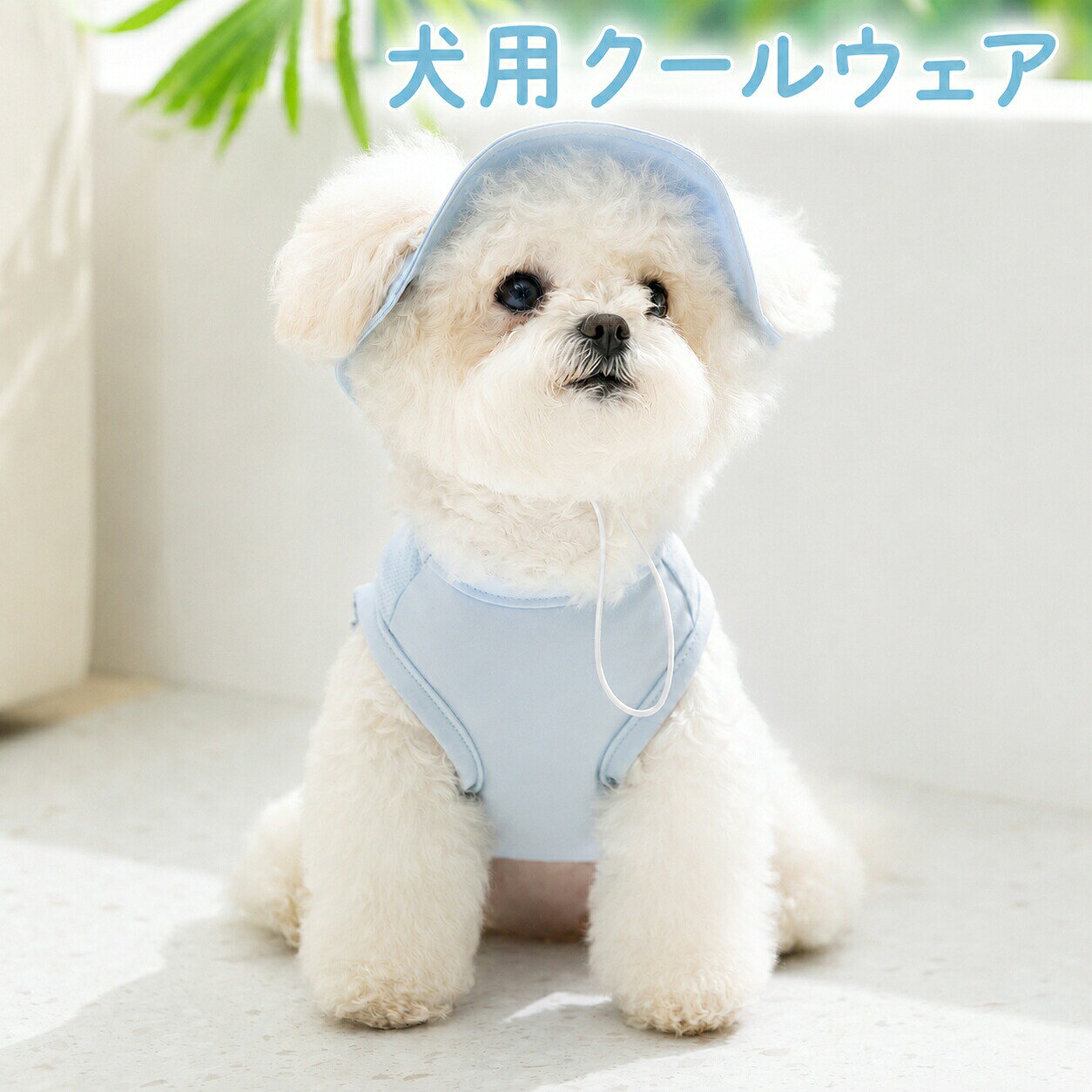 犬用クールウェア 【商品の特徴】 ✅ 冷感素材でひんやり快適 冷感生地を採用し、夏の暑い日でもワンちゃんの体温上昇を抑え、快適に過ごせます。 通気性に優れたメッシュ部分がムレを防ぎ、長時間着用でもストレスフリーです。 ✅ 帽子付きで紫外線・熱中症対策 セットの帽子が頭部・耳までしっかりガード。 強い日差しから守り、熱中症や日焼けを防ぎます。あご紐付きで脱げにくく、お散歩中も安心です。 ✅ 着脱簡単なかぶり式デザイン かぶり式で着脱がスムーズ。 肩幅もちょうど良く、締め付け感が少ないので、ワンちゃんも嫌がりにくい設計です。 ✅ アウトドアにも似合うシンプルデザイン お散歩やキャンプなど、様々なシーンで活躍します。 【仕様】 品名：犬用クールウェア 素材：冷感生地 着用方法：かぶり式 セット内容：ウェア本体 + 専用キャップ 【使用上の注意】 ※サイズは胸囲を基準に選ぶことをおすすめします。 ※洗濯の際は洗濯ネットを使用し、弱水流で洗ってください。 ※長時間直射日光に当たると色あせする場合があります。 ※使用中に異常が見られた場合は、すぐに使用を中止してください。 メーカー希望小売価格はメーカーカタログに基づいて掲載しています