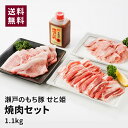 瀬戸のもち豚 せと姫 焼肉セット BBQ 人気 贈答品 ギフト お取り寄せグルメ