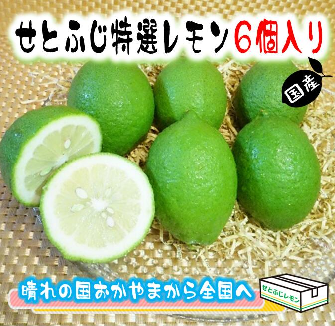 送料無料　岡山産 ♪ レモン 6個（1個約100g） こだわりレモンを晴れの国岡山から全国へ　国産レモン　グリーンレモン（9月〜12月）　イエローレモン（12月〜3月）　皮まで食べられます　※北海道、沖縄への発送は追加送料を別途申し受けます