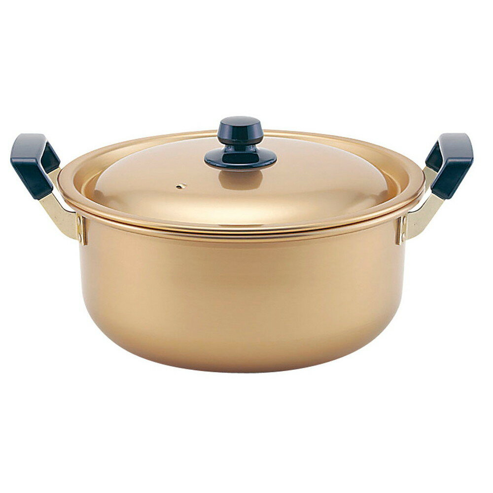 TKG 本しゅう酸 美菜食(びさいしょく) 両手鍋 28cm [ 外径:312mm 深さ:140mm 7.9L ] [ 料理道具 ] | 厨房 食堂 和食 ホテル 飲食店 業務用
