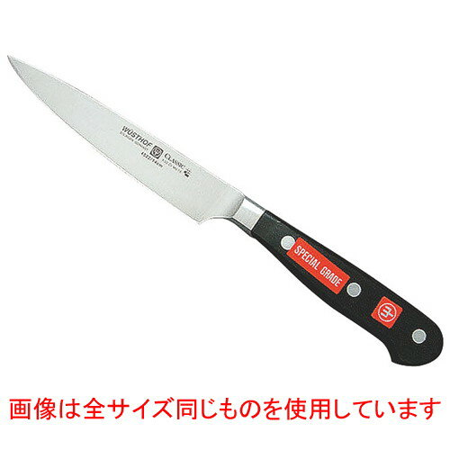  Ĵʪ ȥ ɥåʥ 4522-16SG 16cm  Ź ˼ å ̳ 