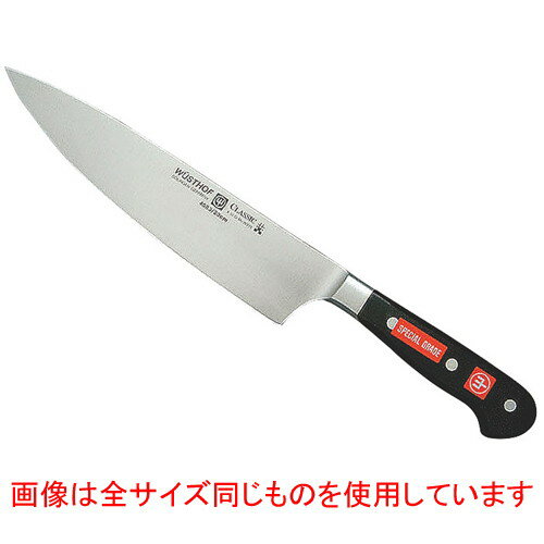 Ĵʪ ȥ  4582-26SG 26cm  Ź ˼ å ̳ 