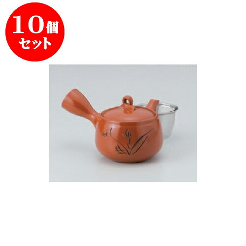 10個セット 急須 朱ラン彫急須（カゴアミ付） [9 x 9cm 310cc] | ポット 急須 きゅうす 土瓶 お茶 一服 まったり 人気 おすすめ 食器 業務用 飲食店 カフェ うつわ 器 おしゃれ かわいい ギフト プレゼント 引き出物 誕生日 贈り物 贈答品 食器セット