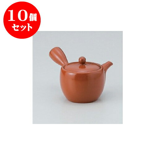 10個セット 急須 朱泥夏目型ムジ（平網） [7.5 x 8cm 180cc] | ポット 急須 きゅうす 土瓶 お茶 一服 まったり 人気 おすすめ 食器 業務用 飲食店 カフェ うつわ 器 おしゃれ かわいい ギフト プレゼント 引き出物 誕生日 贈り物 贈答品 食器セット