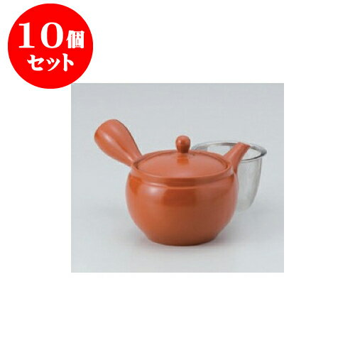 10個セット 急須 無地急須（カゴアミ付） [9 x 10cm 290cc] | ポット 急須 きゅうす 土瓶 お茶 一服 まったり 人気 おすすめ 食器 業務用 飲食店 カフェ うつわ 器 おしゃれ かわいい ギフト プレゼント 引き出物 誕生日 贈り物 贈答品 食器セット