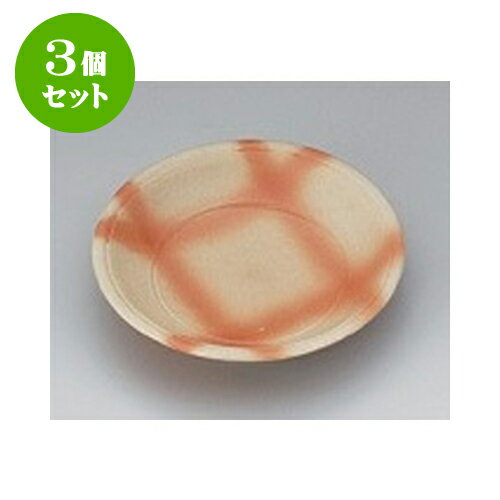 3個セット 小皿 火だすき3.5反丸皿 [10 x 2.5cm] 強化 | 小皿 取り皿 人気 おすすめ 食器 業務用 飲食店 小さいお皿 カフェ うつわ 器 おしゃれ かわいい ギフト プレゼント 引き出物 誕生日 贈り物 贈答品 SNS 便利 内祝い 開店祝 普段使い 引っ越し祝い 食器セット