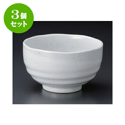 3個セット 多用碗 大 白河 京たもり碗 [13.5 x 8cm] | 丼ぶり カフェ丼 鉢 ラーメン そば うどん ボウル 食器 業務用 飲食店 カフェ うつわ 器 おしゃれ かわいい ギフト プレゼント 誕生日 贈り物 贈答品 食器セット