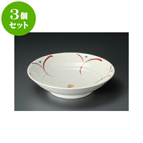 3個セット めん皿 花だより8寸大鉢 [
