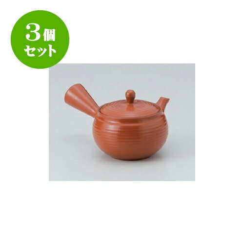 3個セット 急須 朱無地平丸急須（帯網） [10 x 9cm 310cc] | ポット 急須 きゅう