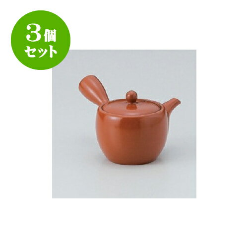 3個セット 急須 朱泥夏目型ムジ（平網） [7.5 x 8cm 180cc] | ポット 急須 きゅ