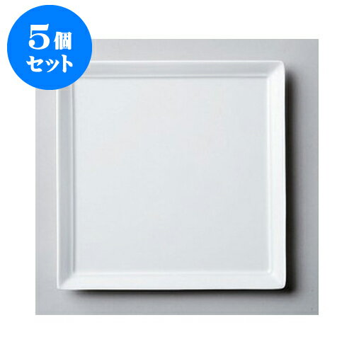 5個セット デリカウェア YZ（白磁）25cmオードブル [25 x 25 x 1.6cm] | 四角 スクエア スクエアー 角皿 パスタ 人気 おすすめ 食器 洋食器 業務用 飲食店 カフェ うつわ 器 おしゃれ かわいい ギフト プレゼント 引き出物 誕生日 贈り物 贈答品 食器セット