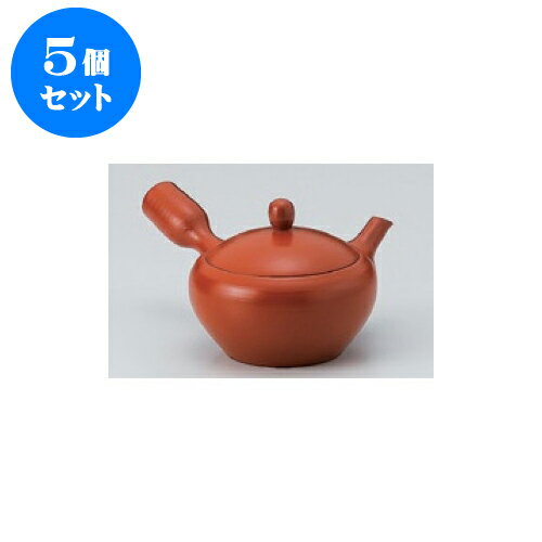 【まとめ買い10個セット品】 【キャンセル/返品不可】 3号土瓶 和食器 35F302-20 まごころ第35集 【ECJ】 梅鉢