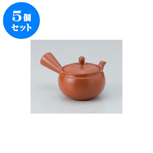 5個セット 急須 朱無地平丸急須（帯網） [10 x 9cm 310cc] | ポット 急須 きゅうす 土瓶 お茶 一服 まったり 人気 おすすめ 食器 業務用 飲食店 カフェ うつわ 器 おしゃれ かわいい ギフト プレゼント 引き出物 誕生日 贈り物 贈答品 食器セット