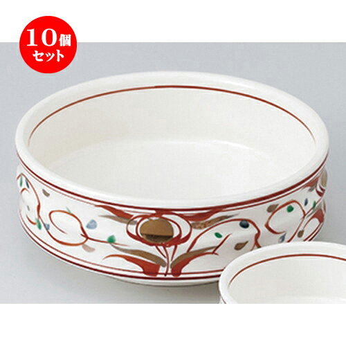 10ĥå  ɿ  ֳɿȭ  14.1 x 5.4cm  | ͵   ̳ Ź ե Ĥ ...