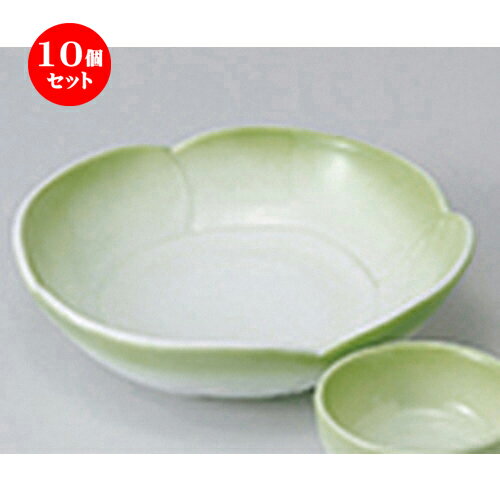 10ĥå  ɿ  ҥַɿȭ  15.2 x 14.8 x 4cm  | ͵   ̳ Ź ե ...