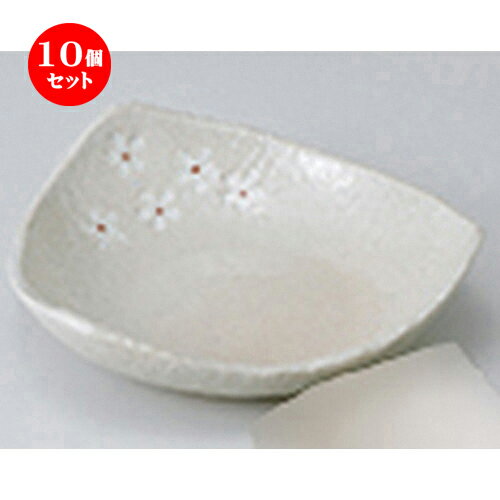 10ĥå  ɿ  򲡲ֻѷL  16.8 x 16.5 x 4.5cm  | ͵   ̳ Ź...