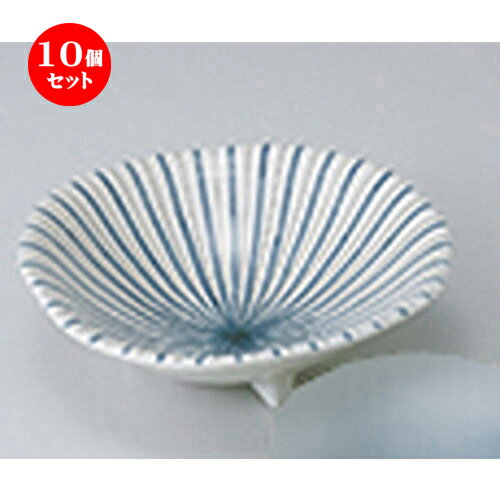 10ĥå  ɿ  𻰥­5.0ȭ  15.5 x 5cm  | ͵   ̳ Ź ե Ĥ ...
