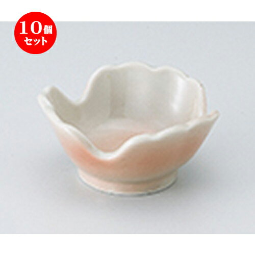 10ĥå  ȭ  ܤξȭ  11.3 x 5cm  | ȭ   ȭ ܥ ǽ ͵   ...