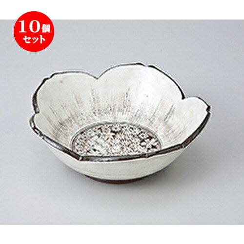 10ĥå    ¤ ʴزֺȭ  14.8 x 14.8 x 5.5cm  | ȭ   ȭ ܥ ǽ ...