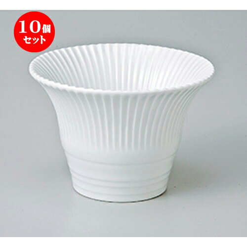 10ĥå  ȭ  صƷ  10 x 7cm  | ȭ   ȭ ܥ ǽ ͵   ̳ ...