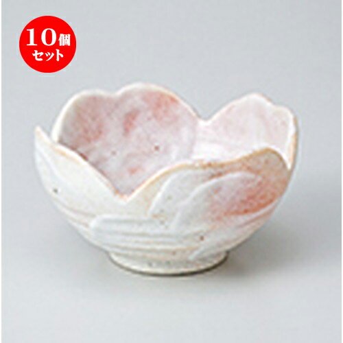 10ĥå  ȭ  ͥĻȭ  10.5 x 5.8cm  | ȭ   ȭ ܥ ǽ ͵  ...