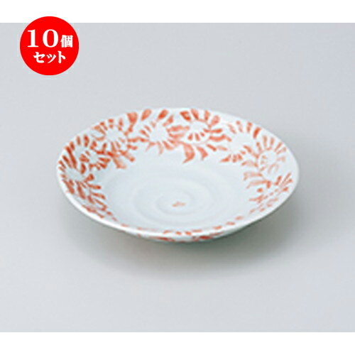 10ĥå    ¤ʿȭ  15.5 x 4cm  | ȭ ȭ ȭ ܥ   ͵  ̳...