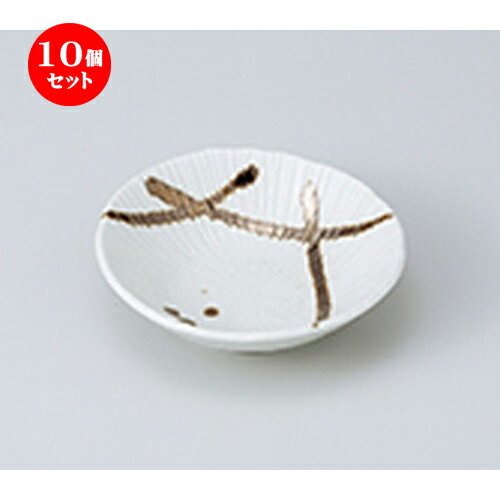 10ĥå  ȭ  ⿧ήȭ  15 x 14.5 x 4.3cm  | ȭ   ȭ ܥ ǽ ͵ ...