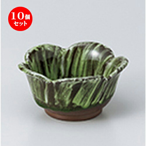 10ĥå  ȭ  ߤַȭ  11 x 5.8cm  | ȭ   ȭ ܥ ǽ ͵  ...