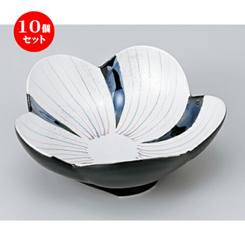 10ĥå  ȭ  󿧰饹ַ  14.3 x 14.3 x 5.8cm  | ȭ   ȭ ܥ...