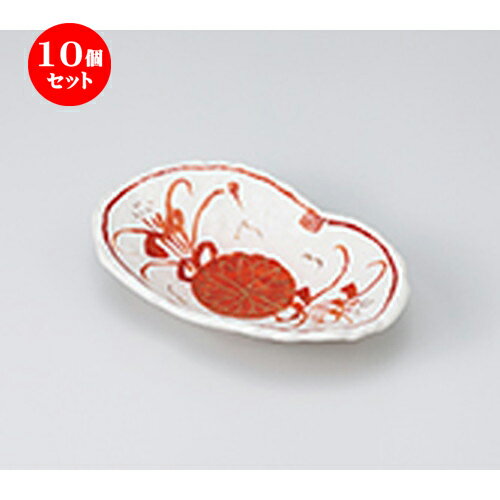10ĥå  ȭ  ֲվȭ  18 x 11.5 x 4cm  | ȭ   ȭ ܥ ǽ ͵ ...