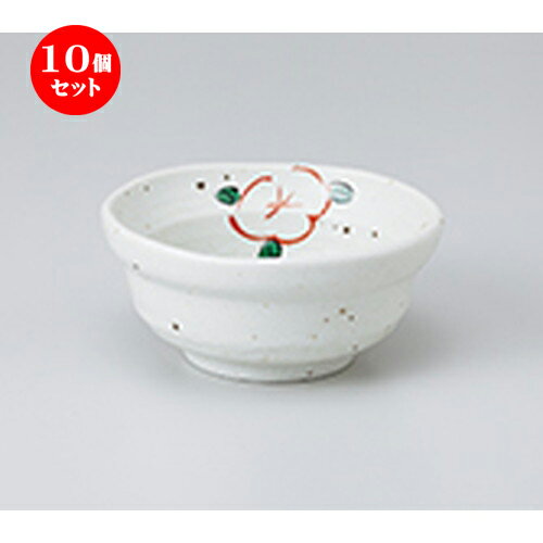 10ĥå  ȭ  򥤥ֳ 3.6ȭ  11 x 5cm  | ȭ   ȭ ܥ ǽ ͵  ...