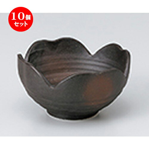 10ĥå  ȭ  ͥĻȭʾ  9 x 5cm  | ȭ   ȭ ܥ ǽ ͵   ...