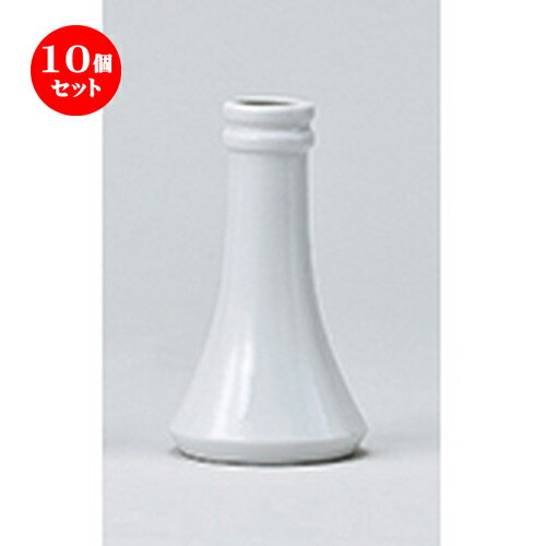 10ĥå  ʩ  Ω7.0 [ h 21.5cm  | ͵   ̳ Ź ե Ĥ   ...