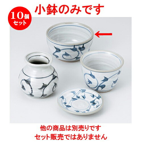 10ĥåȡ   3.8ȭ [ 10.7 x 6cm  | ȭ   ȭ ܥ ǽ ͵   ...