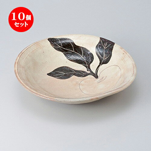 10ĥå  ¿ȭ  ʴ֥8.0ȭ [ 24 x 5.5cm  | ȭ ȭ ȭ ܥ   ͵ ...