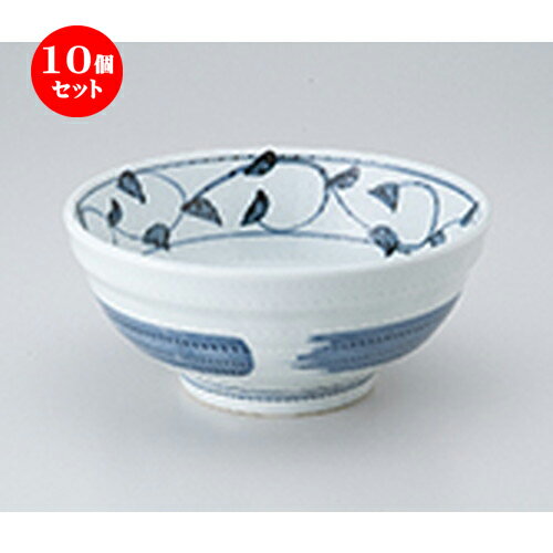 10ĥå  Ч  ޼6.0Ч [ 19 x 8.5cm  | Ч֤ եЧ ȭ 顼  ɤ ܥ ...